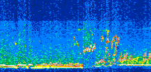 /calipso-imagery/data/BROWSE/production/V5-00/2019-03-12/2019-03-12_11-09-14_V5.00_2_thmb.png image missing