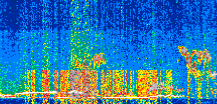 /calipso-imagery/data/BROWSE/production/V5-00/2019-03-12/2019-03-12_16-04-55_V5.00_2_thmb.png image missing