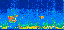 /calipso-imagery/data/BROWSE/production/V5-00/2019-03-12/2019-03-12_21-00-30_V5.00_2_thmb.png image missing