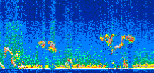 /calipso-imagery/data/BROWSE/production/V5-00/2019-03-13/2019-03-13_08-30-22_V5.00_2_thmb.png image missing