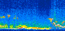 /calipso-imagery/data/BROWSE/production/V5-00/2019-03-13/2019-03-13_11-47-22_V5.00_3_thmb.png image missing