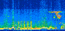 /calipso-imagery/data/BROWSE/production/V5-00/2019-03-13/2019-03-13_13-25-58_V5.00_2_thmb.png image missing