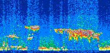 /calipso-imagery/data/BROWSE/production/V5-00/2019-03-13/2019-03-13_23-17-14_V5.00_3_thmb.png image missing