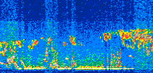 /calipso-imagery/data/BROWSE/production/V5-00/2019-03-14/2019-03-14_02-34-14_V5.00_2_thmb.png image missing