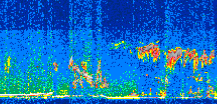 /calipso-imagery/data/BROWSE/production/V5-00/2019-03-14/2019-03-14_05-51-20_V5.00_2_thmb.png image missing