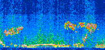 /calipso-imagery/data/BROWSE/production/V5-00/2019-03-14/2019-03-14_07-29-55_V5.00_2_thmb.png image missing