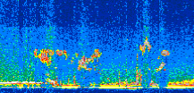 /calipso-imagery/data/BROWSE/production/V5-00/2019-03-14/2019-03-14_09-08-25_V5.00_2_thmb.png image missing
