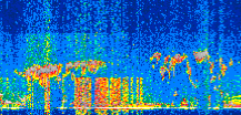 /calipso-imagery/data/BROWSE/production/V5-00/2019-03-14/2019-03-14_15-42-36_V5.00_2_thmb.png image missing