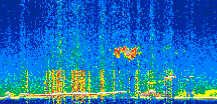 /calipso-imagery/data/BROWSE/production/V5-00/2019-03-14/2019-03-14_18-59-41_V5.00_2_thmb.png image missing