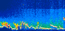 /calipso-imagery/data/BROWSE/production/V5-00/2019-03-14/2019-03-14_20-38-12_V5.00_1_thmb.png image missing
