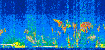 /calipso-imagery/data/BROWSE/production/V5-00/2019-03-16/2019-03-16_05-29-01_V5.00_2_thmb.png image missing