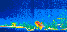 /calipso-imagery/data/BROWSE/production/V5-00/2019-03-16/2019-03-16_15-20-17_V5.00_1_thmb.png image missing