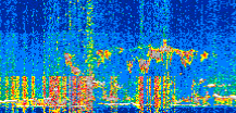 /calipso-imagery/data/BROWSE/production/V5-00/2019-03-16/2019-03-16_16-58-53_V5.00_2_thmb.png image missing