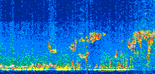 /calipso-imagery/data/BROWSE/production/V5-00/2019-03-21/2019-03-21_02-05-31_V5.00_2_thmb.png image missing