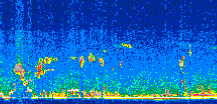 /calipso-imagery/data/BROWSE/production/V5-00/2019-03-21/2019-03-21_08-39-37_V5.00_2_thmb.png image missing