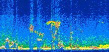 /calipso-imagery/data/BROWSE/production/V5-00/2019-03-21/2019-03-21_10-18-13_V5.00_2_thmb.png image missing