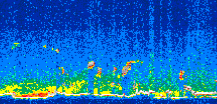 /calipso-imagery/data/BROWSE/production/V5-00/2019-03-21/2019-03-21_10-18-13_V5.00_3_thmb.png image missing