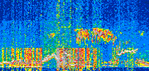 /calipso-imagery/data/BROWSE/production/V5-00/2019-03-21/2019-03-21_16-52-23_V5.00_2_thmb.png image missing