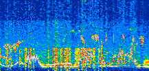 /calipso-imagery/data/BROWSE/production/V5-00/2019-03-21/2019-03-21_18-30-54_V5.00_2_thmb.png image missing
