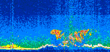 /calipso-imagery/data/BROWSE/production/V5-00/2019-03-21/2019-03-21_20-09-24_V5.00_3_thmb.png image missing
