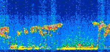 /calipso-imagery/data/BROWSE/production/V5-00/2019-03-21/2019-03-21_23-26-29_V5.00_2_thmb.png image missing