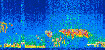 /calipso-imagery/data/BROWSE/production/V5-00/2019-03-24/2019-03-24_00-42-46_V5.00_3_thmb.png image missing