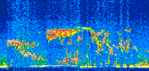 /calipso-imagery/data/BROWSE/production/V5-00/2019-03-24/2019-03-24_03-59-51_V5.00_2_thmb.png image missing