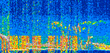 /calipso-imagery/data/BROWSE/production/V5-00/2019-03-24/2019-03-24_17-08-08_V5.00_2_thmb.png image missing