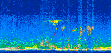 /calipso-imagery/data/BROWSE/production/V5-00/2019-03-26/2019-03-26_05-16-03_V5.00_2_thmb.png image missing