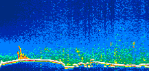 /calipso-imagery/data/BROWSE/production/V5-00/2019-03-26/2019-03-26_08-33-08_V5.00_1_thmb.png image missing
