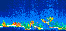 /calipso-imagery/data/BROWSE/production/V5-00/2019-03-26/2019-03-26_10-11-43_V5.00_1_thmb.png image missing