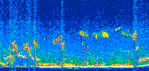 /calipso-imagery/data/BROWSE/production/V5-00/2019-03-26/2019-03-26_10-11-43_V5.00_2_thmb.png image missing