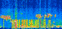 /calipso-imagery/data/BROWSE/production/V5-00/2019-03-26/2019-03-26_15-07-19_V5.00_2_thmb.png image missing