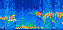 /calipso-imagery/data/BROWSE/production/V5-00/2019-03-27/2019-03-27_02-37-06_V5.00_2_thmb.png image missing