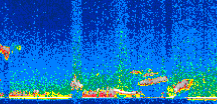 /calipso-imagery/data/BROWSE/production/V5-00/2019-03-27/2019-03-27_02-37-06_V5.00_3_thmb.png image missing