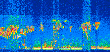 /calipso-imagery/data/BROWSE/production/V5-00/2019-04-09/2019-04-09_01-01-21_V5.00_2_thmb.png image missing
