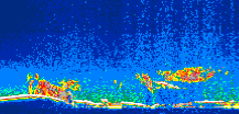 /calipso-imagery/data/BROWSE/production/V5-00/2019-04-09/2019-04-09_07-35-32_V5.00_1_thmb.png image missing