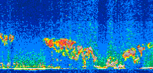 /calipso-imagery/data/BROWSE/production/V5-00/2019-04-09/2019-04-09_15-48-13_V5.00_3_thmb.png image missing