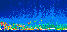 /calipso-imagery/data/BROWSE/production/V5-00/2019-05-11/2019-05-11_04-55-18_V5.00_1_thmb.png image missing