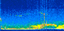 /calipso-imagery/data/BROWSE/production/V5-00/2019-05-11/2019-05-11_08-12-24_V5.00_2_thmb.png image missing