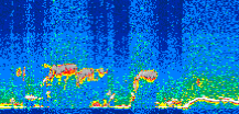 /calipso-imagery/data/BROWSE/production/V5-00/2019-05-11/2019-05-11_14-46-35_V5.00_3_thmb.png image missing