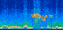 /calipso-imagery/data/BROWSE/production/V5-00/2019-05-11/2019-05-11_21-20-46_V5.00_2_thmb.png image missing