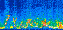 /calipso-imagery/data/BROWSE/production/V5-00/2019-05-15/2019-05-15_00-53-31_V5.00_3_thmb.png image missing