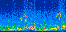 /calipso-imagery/data/BROWSE/production/V5-00/2019-05-15/2019-05-15_05-49-06_V5.00_2_thmb.png image missing