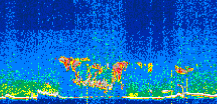 /calipso-imagery/data/BROWSE/production/V5-00/2019-05-15/2019-05-15_10-44-42_V5.00_3_thmb.png image missing