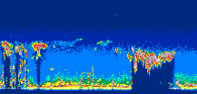 /calipso-imagery/data/BROWSE/production/V5-00/2019-05-15/2019-05-15_11-36-57_V5.00_2_thmb.png image missing