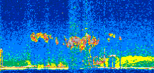 /calipso-imagery/data/BROWSE/production/V5-00/2019-05-15/2019-05-15_14-01-47_V5.00_2_thmb.png image missing