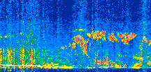 /calipso-imagery/data/BROWSE/production/V5-00/2019-05-15/2019-05-15_18-57-23_V5.00_2_thmb.png image missing