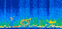 /calipso-imagery/data/BROWSE/production/V5-00/2019-05-15/2019-05-15_23-53-04_V5.00_3_thmb.png image missing