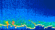 /calipso-imagery/data/BROWSE/production/V5-00/2019-06-07/2019-06-07_07-15-49_V5.00_4_thmb.png image missing